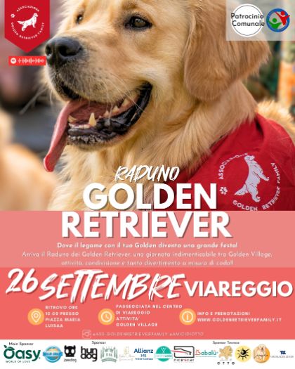 Raduno Golden Retriever 